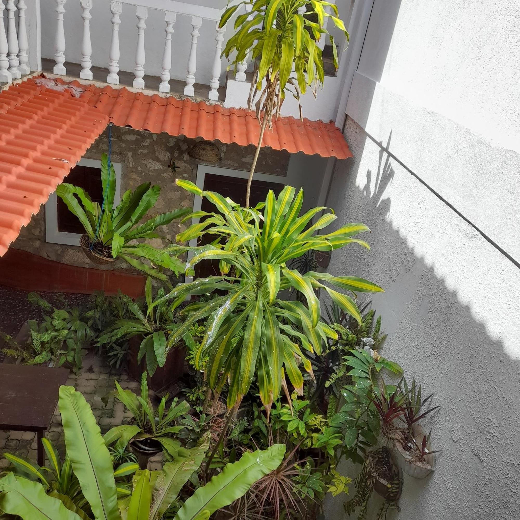 Shoba Traveller'S Tree Homes Stay Galle Exterior foto