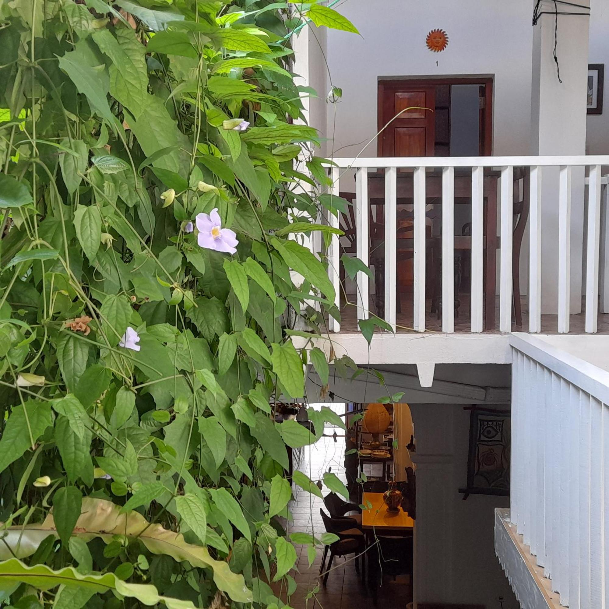 Shoba Traveller'S Tree Homes Stay Galle Exterior foto
